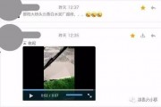 最新爆料照片曝光视频,神秘照片与视频曝光，揭秘事件背后惊人真相！